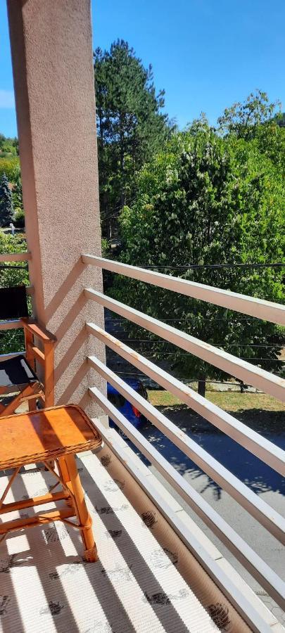Apartman Lux Sneznik Vrnjačka Banja Exteriör bild