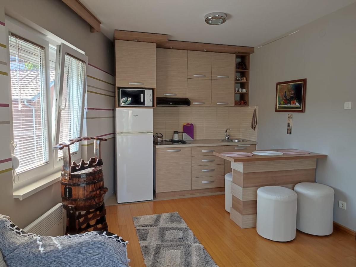 Apartman Lux Sneznik Vrnjačka Banja Exteriör bild